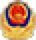 gov icon